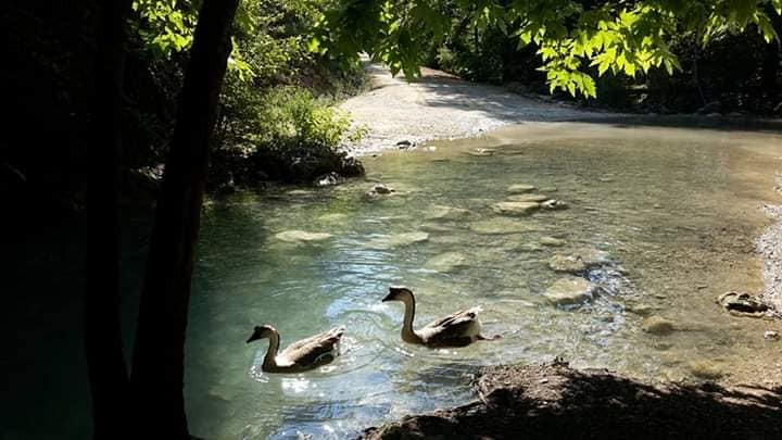 Verstecktes Paradies und Antikes Side 