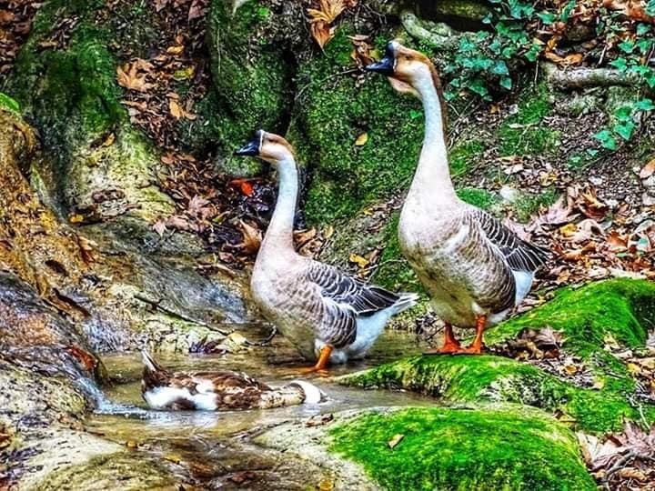 Verstecktes Paradies und Antikes Side 