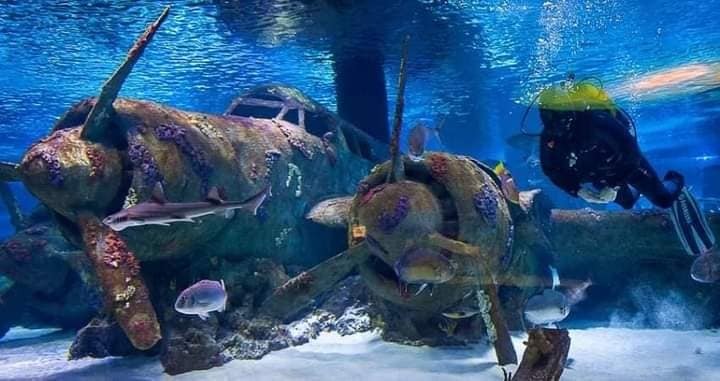 Antalya Aquarium Tour
