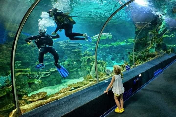 Antalya Aquarium Tour