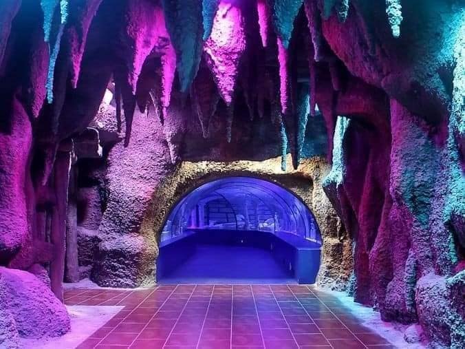Antalya Aquarium Tour