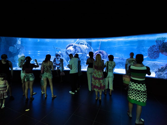 Antalya Aquarium Tour