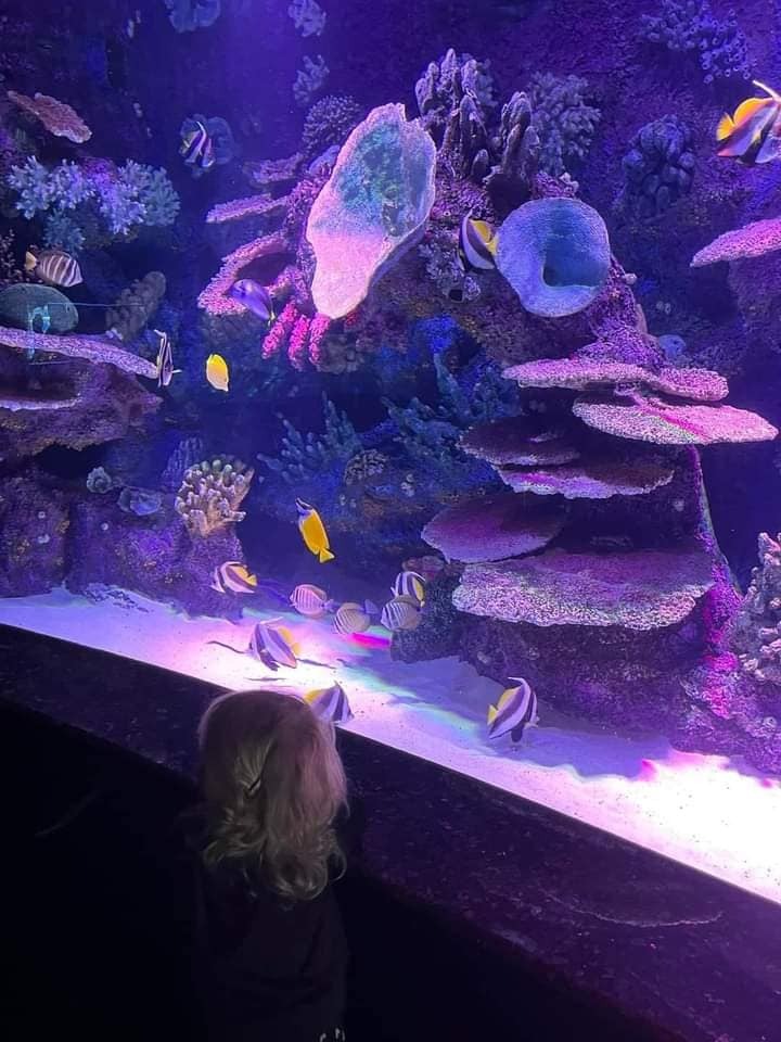 Antalya Aquarium Tour