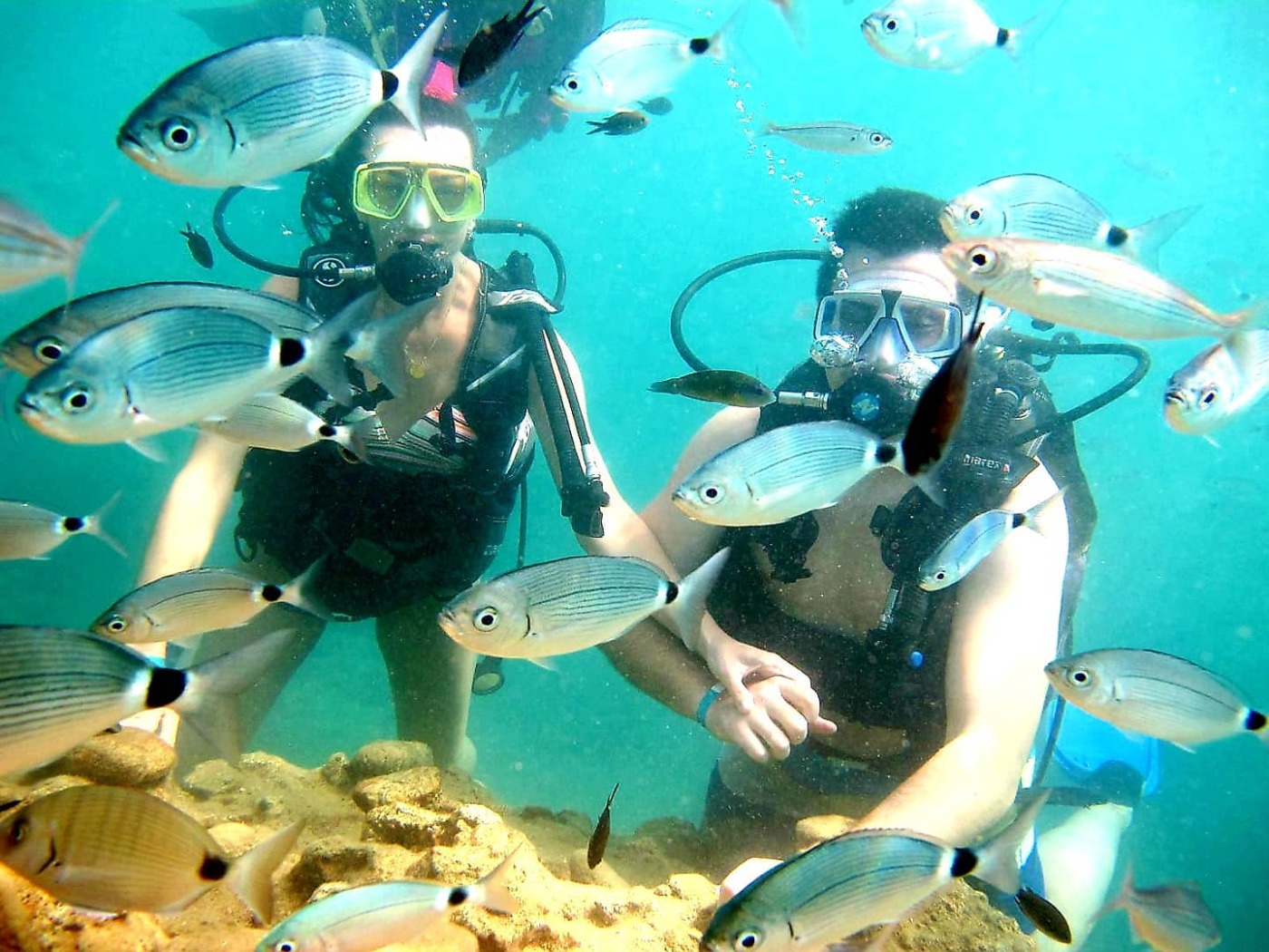 Scuba Diving 