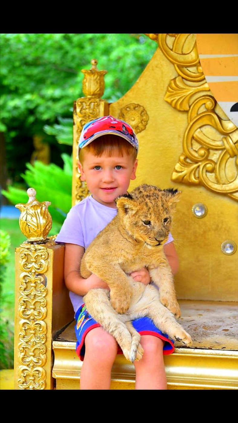 Land Of Lions