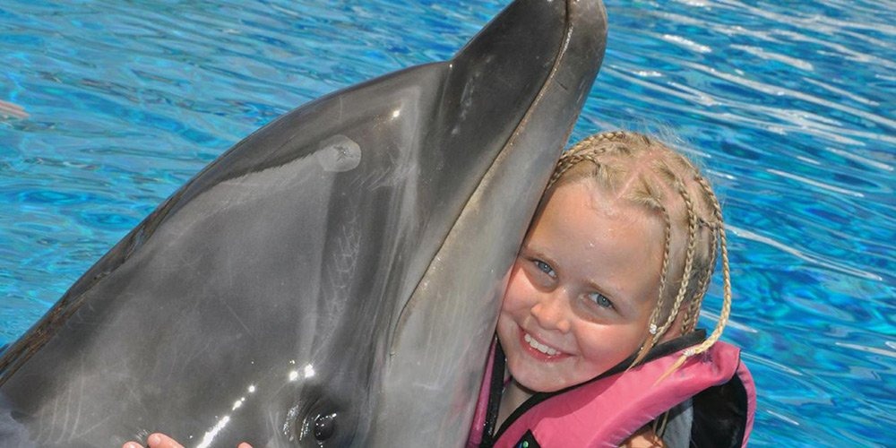 Swim with Dolphins
