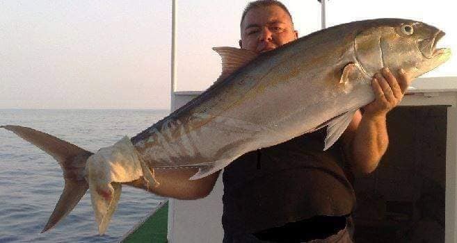 Sea Fishing Tour