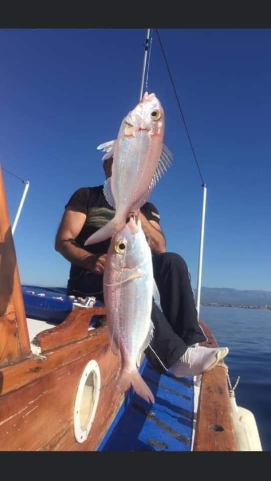 Sea Fishing Tour