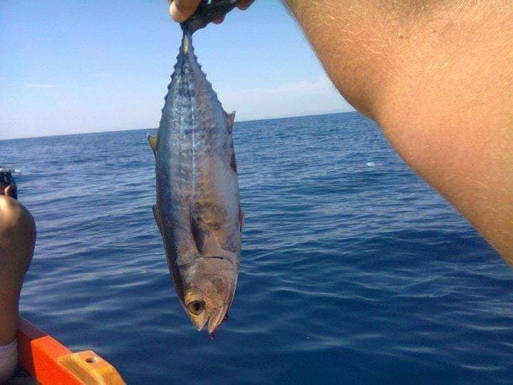 Sea Fishing Tour