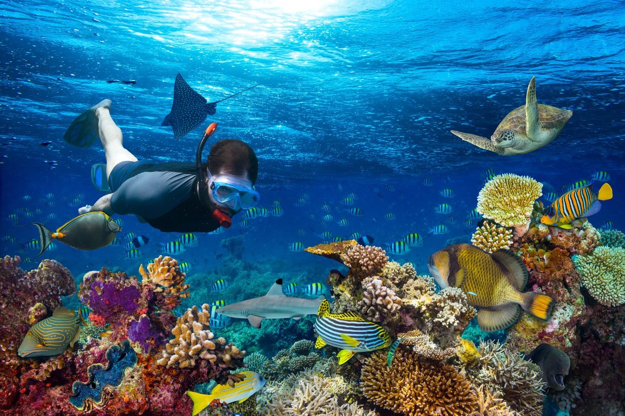 Scuba Diving Side