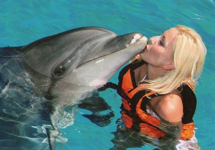 Swim with Dolphins