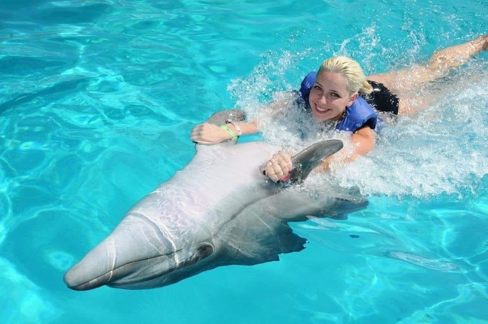 Swim with Dolphins