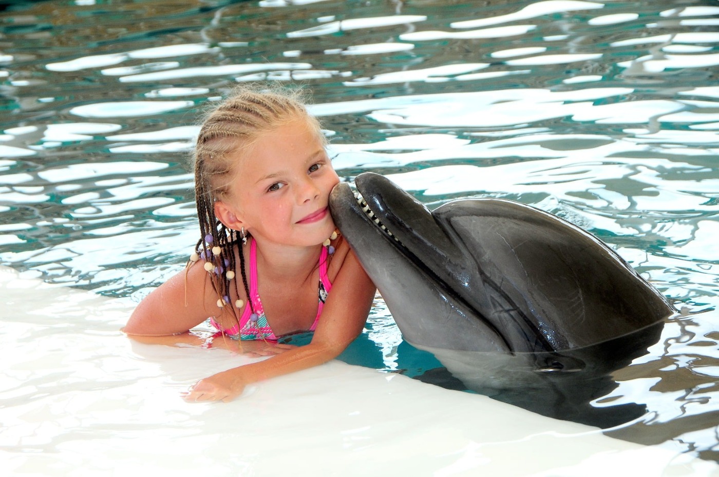 Swim with Dolphins