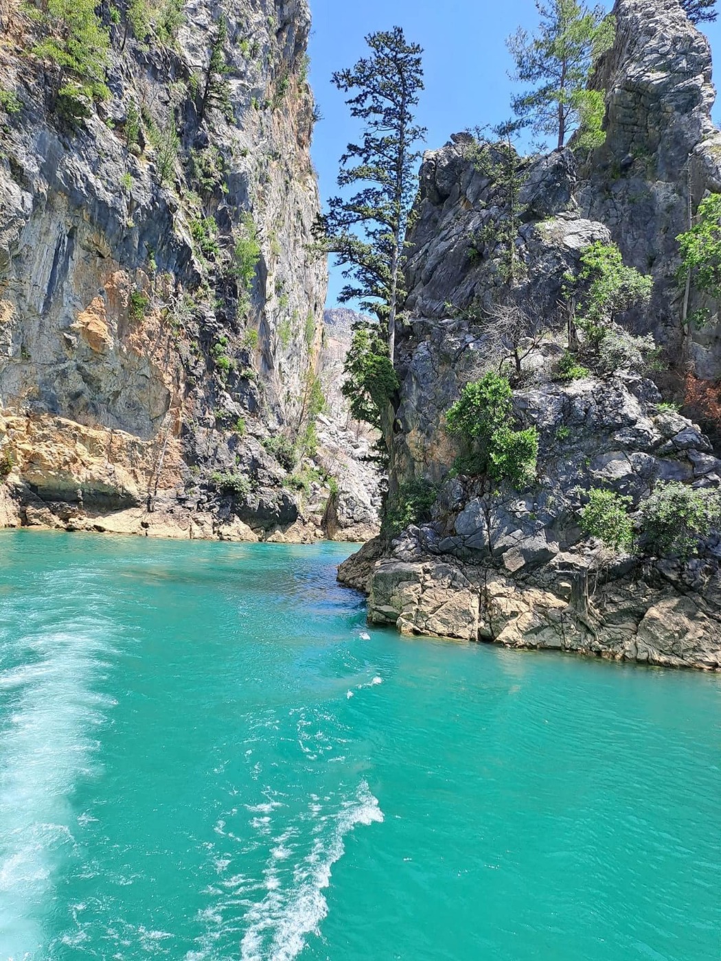 Green Canyon Monster Safari