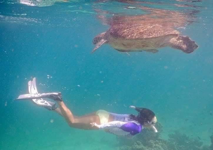 Turtle Island VIP Tour