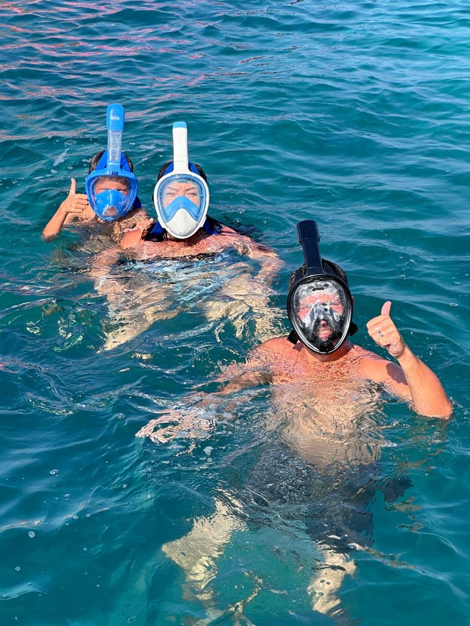 Turtle Island VIP Tour